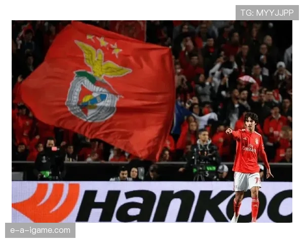 本菲卡加码青训投入，本土足球人才培育迎来新高潮