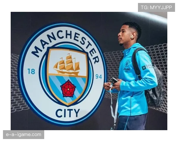 德甲夏窗交易火热:新星涌入,老将告别引热议 德甲夏窗交易火热:新星涌入,老将告别引热议