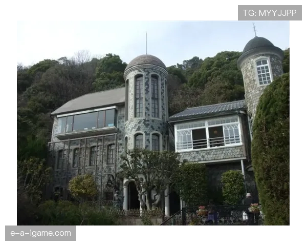 大阪刚买下比弗利山庄那栋带私人影院的豪宅，月供比我年薪还高